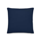 Back view of the cushion, showing the solid blue fabric.