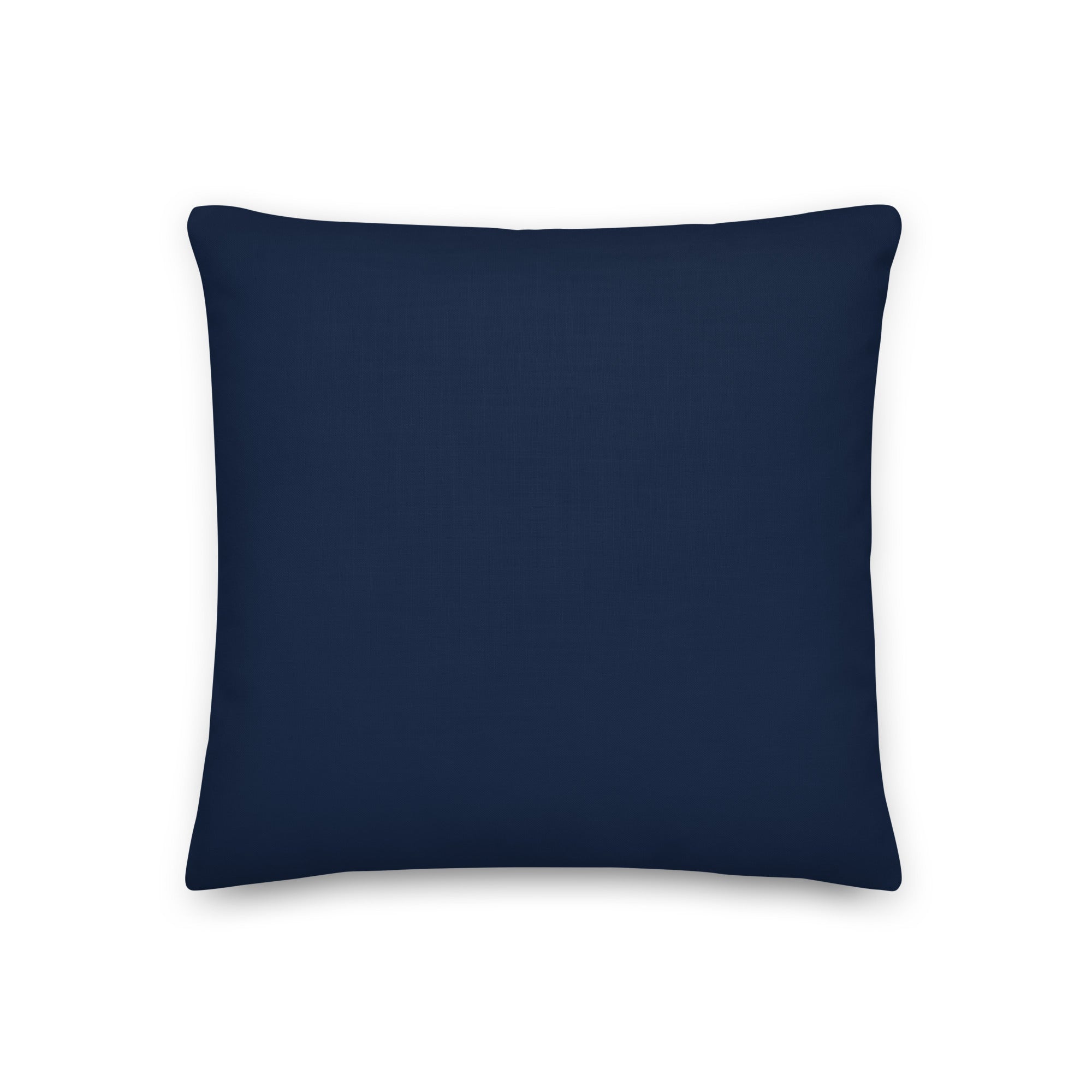 Back view of the cushion, showing the solid blue fabric.