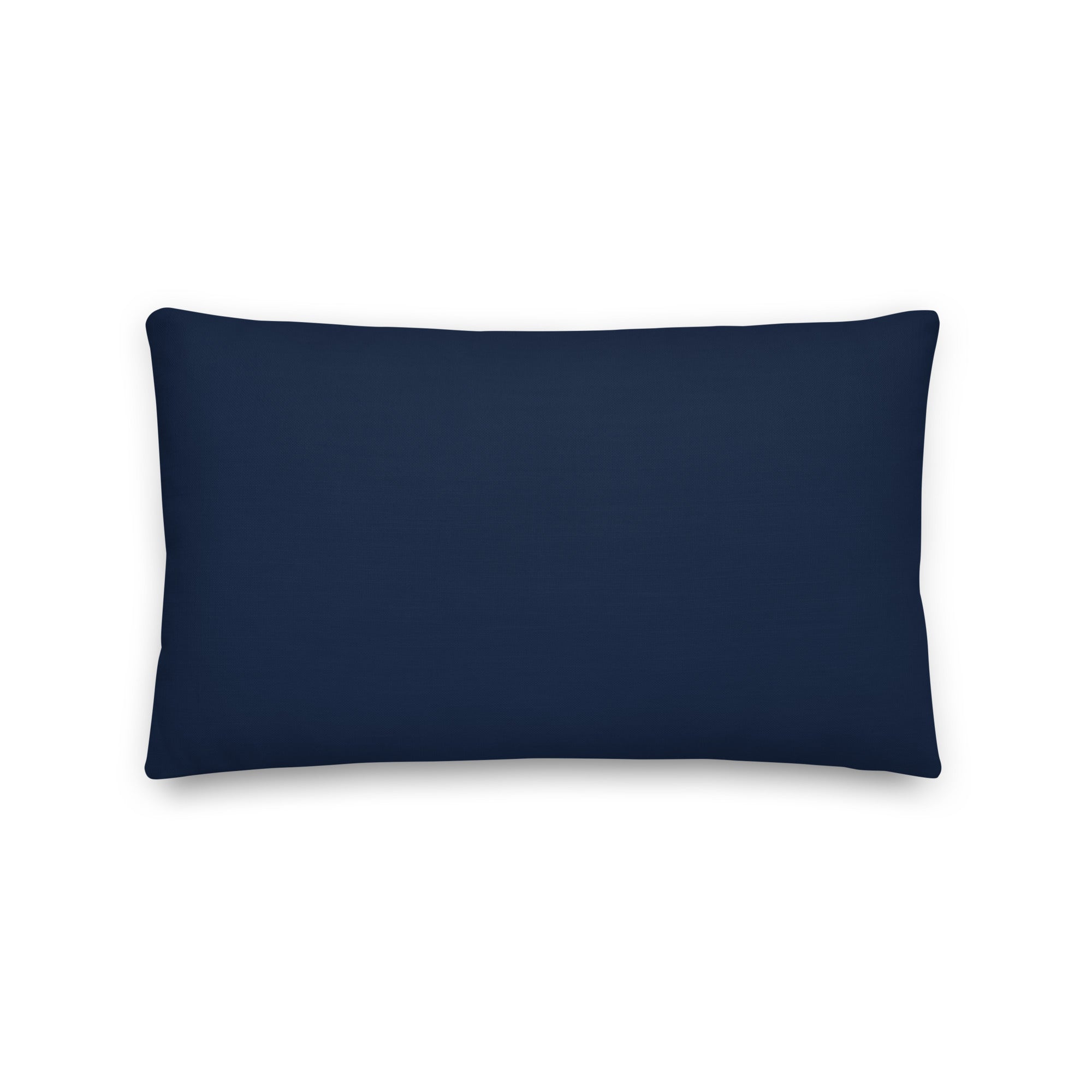 Back view of the cushion, showing the solid blue fabric.