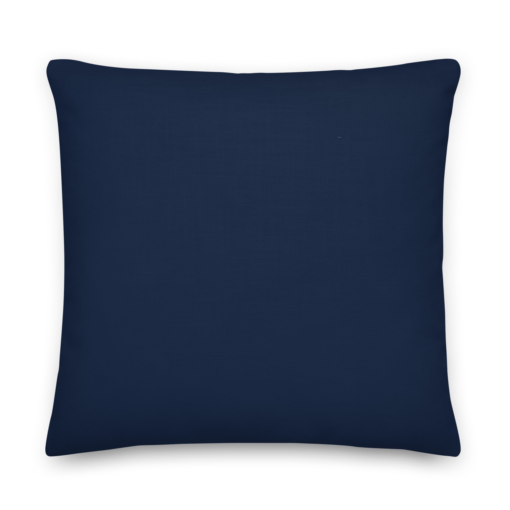 Back view of the cushion, showing the solid blue fabric.