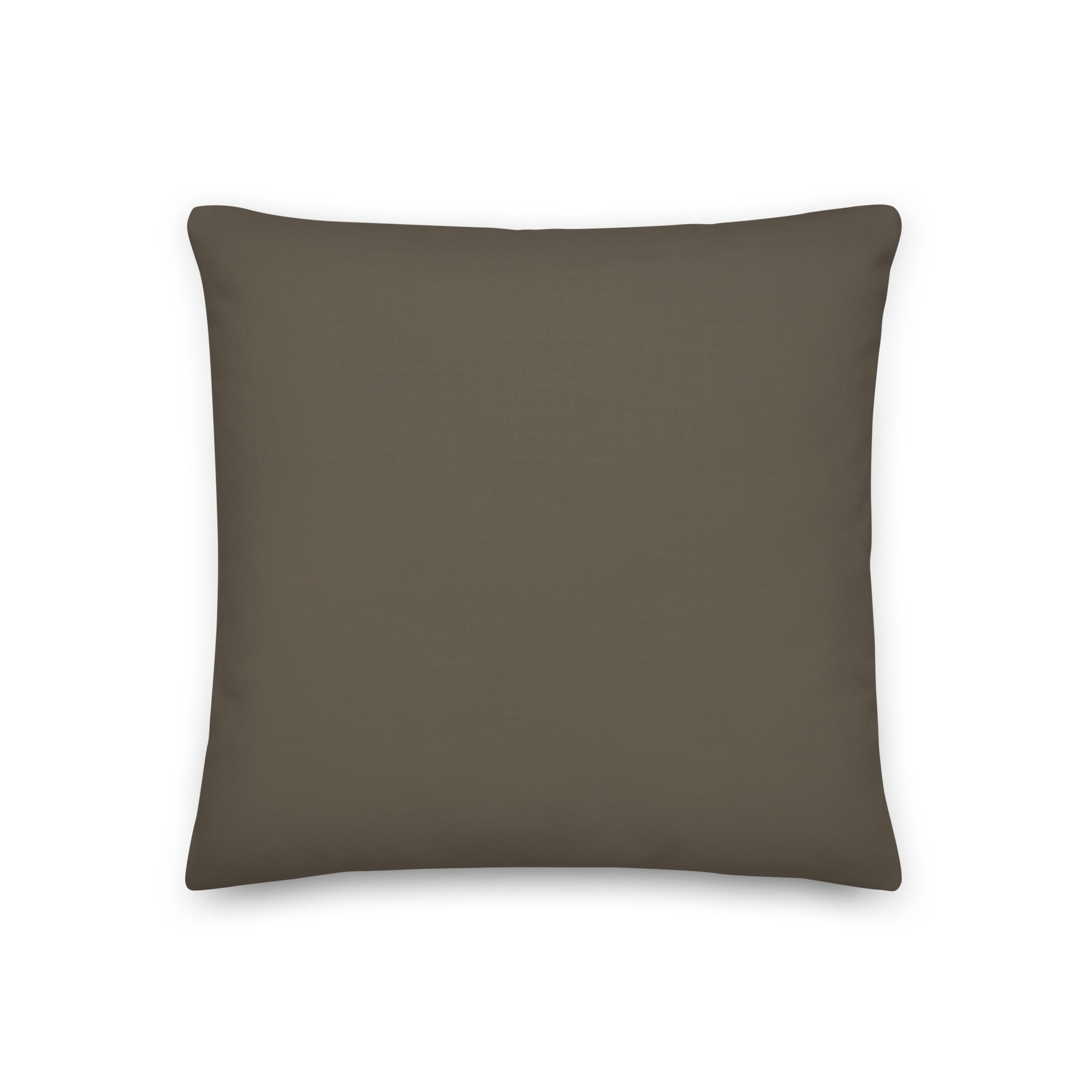 Back view of the cushion, showing the solid brown fabric.
