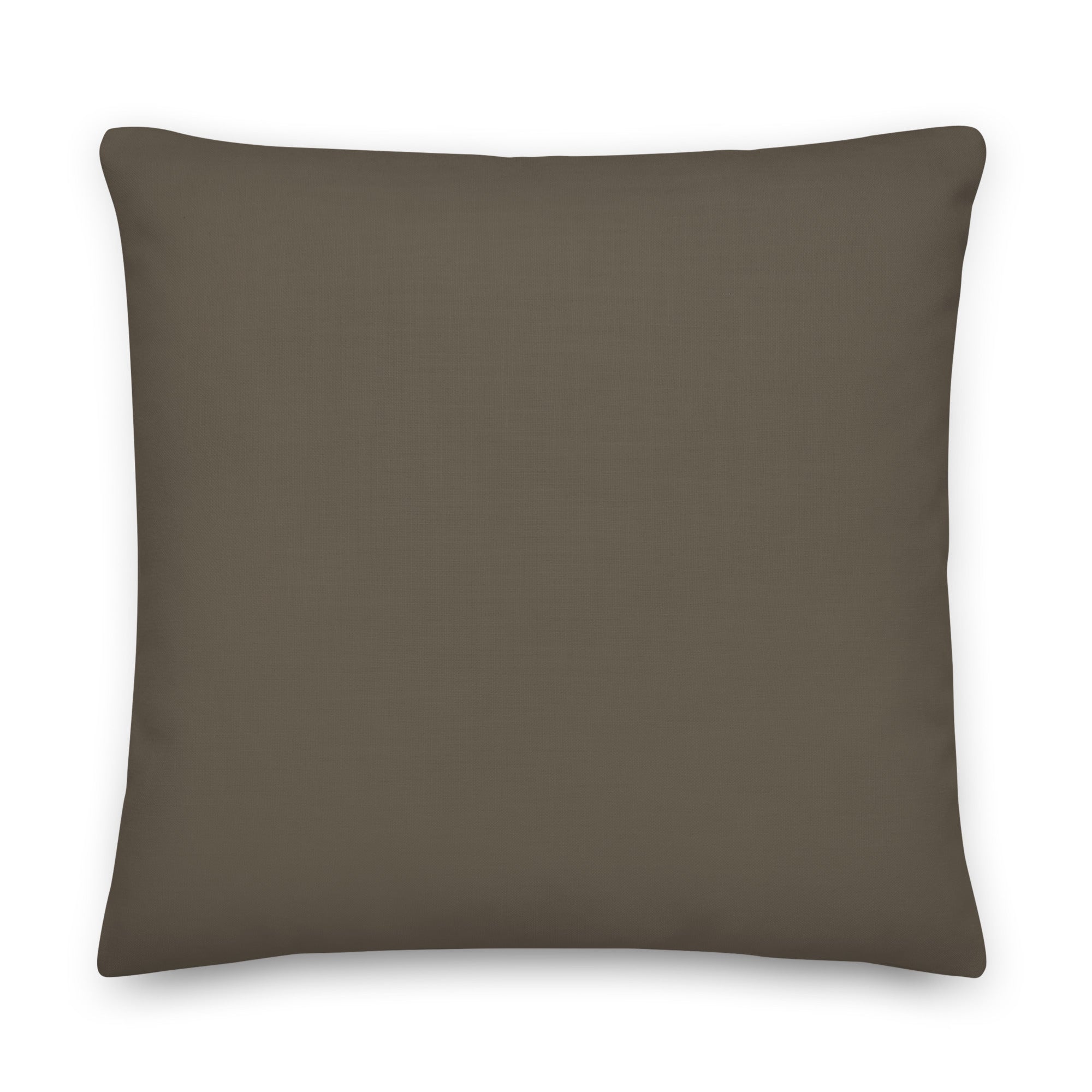 Plain brown reverse side of a decorative cushion