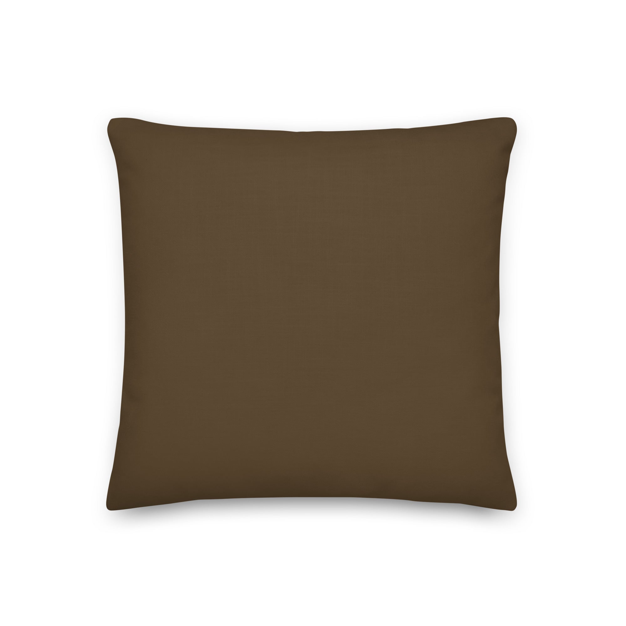 Back view of the cushion, showing the solid brown fabric.