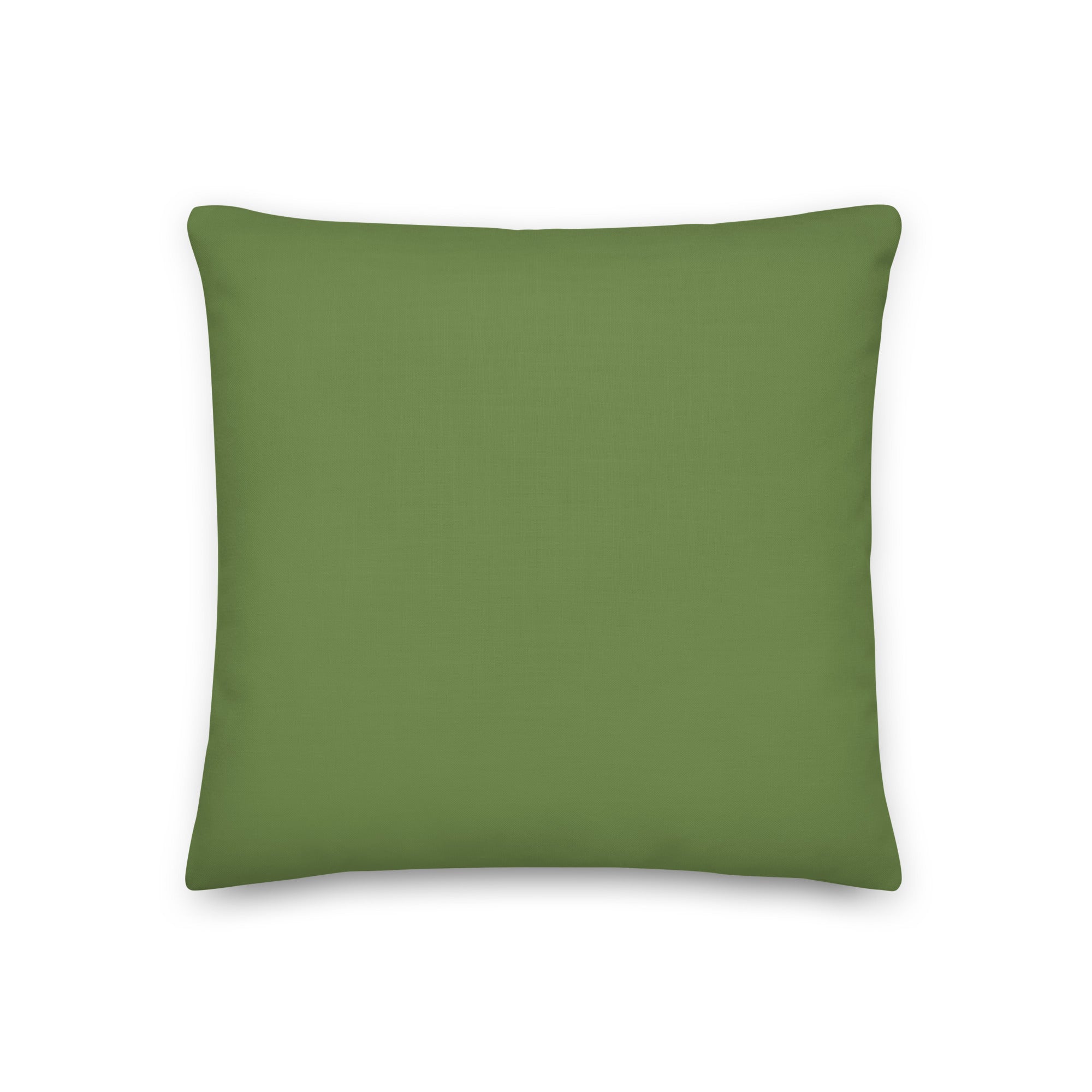 Back view of the cushion, showing the solid green fabric.