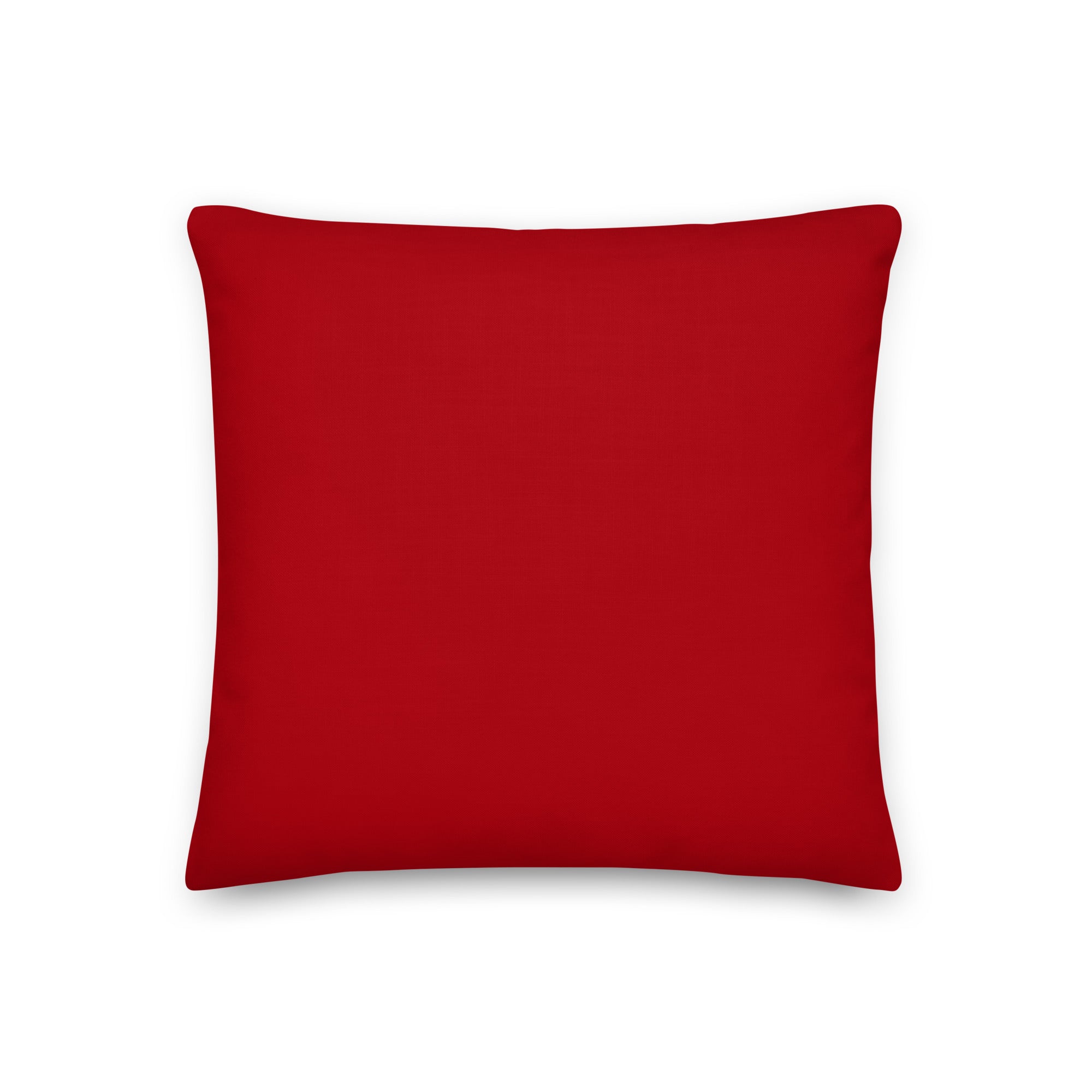 Back view of the cushion, showing the solid red fabric.