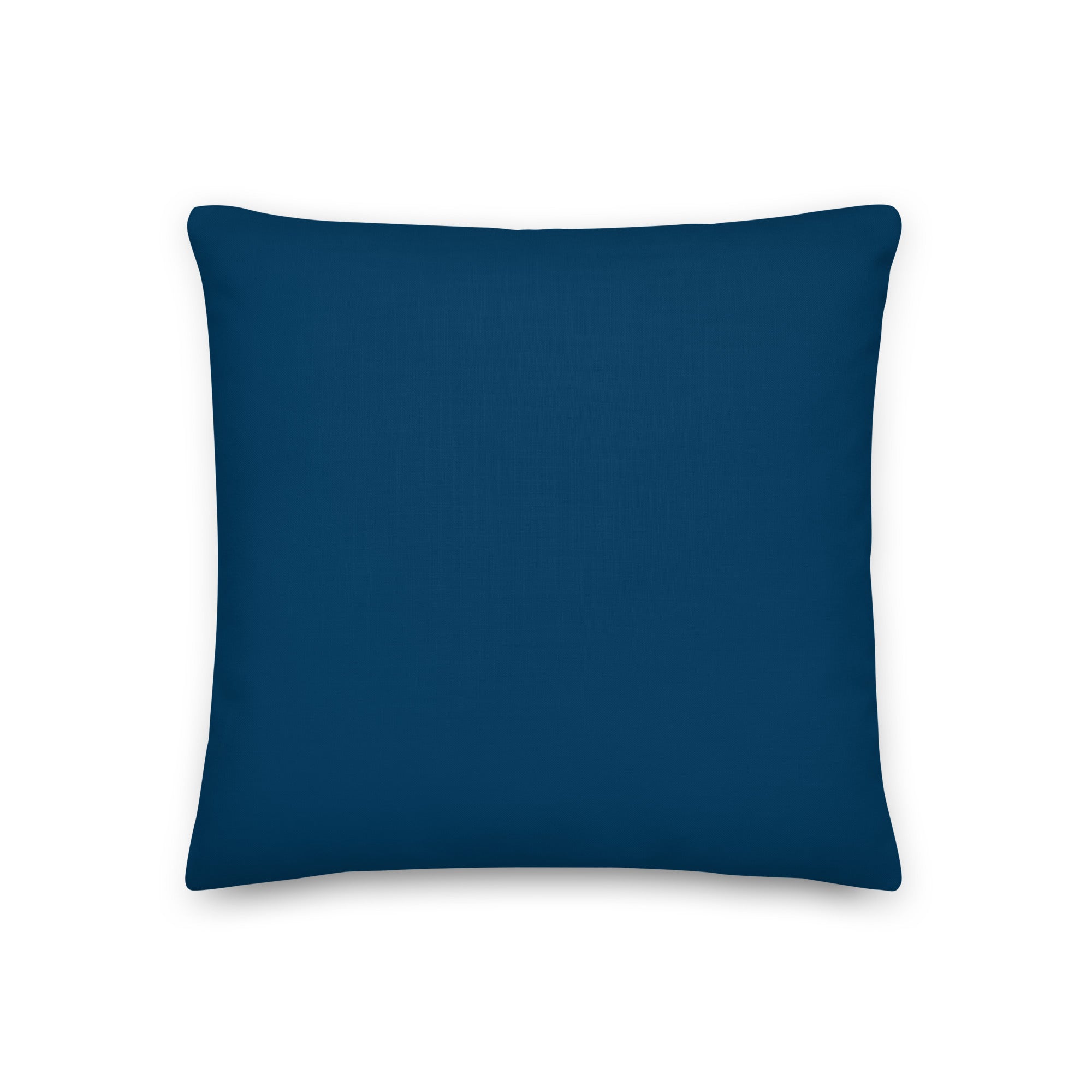 Back view of the cushion, showing the solid blue fabric.