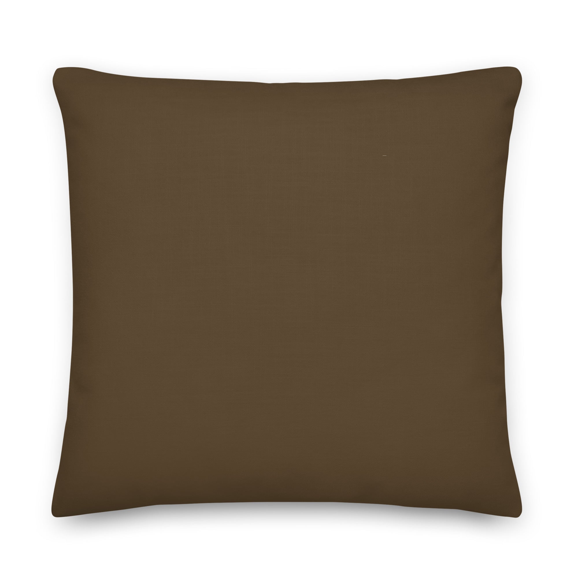 Back view of the cushion, showing the solid brown fabric.