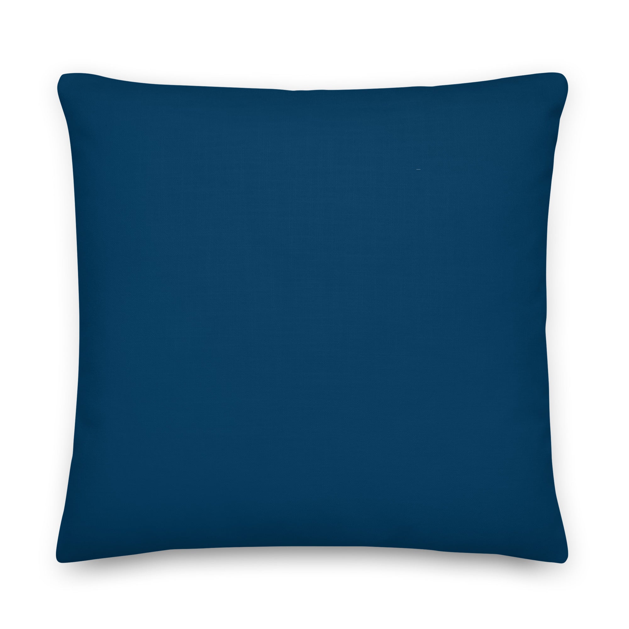 Back view of the cushion, showing the solid blue fabric.