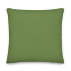 Back view of the cushion, showing the solid green fabric.