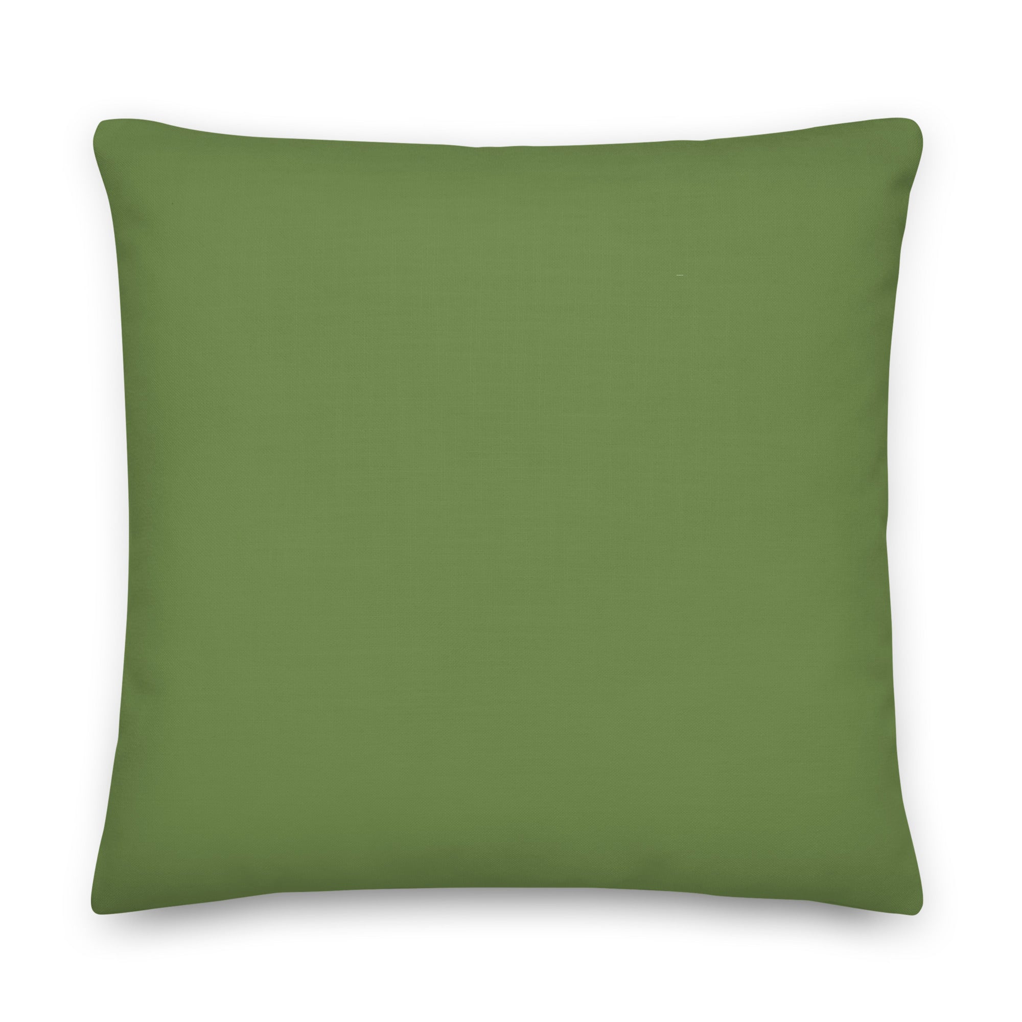 Back view of the cushion, showing the solid green fabric.