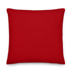 Back view of the cushion, showing the solid red fabric.