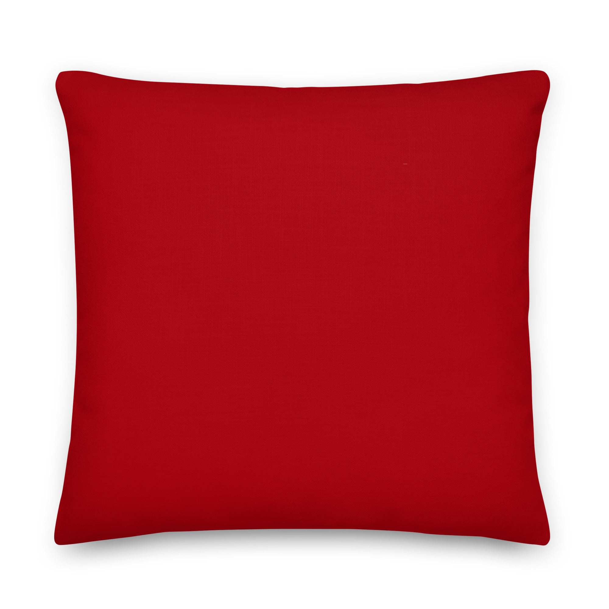 Back view of the cushion, showing the solid red fabric.